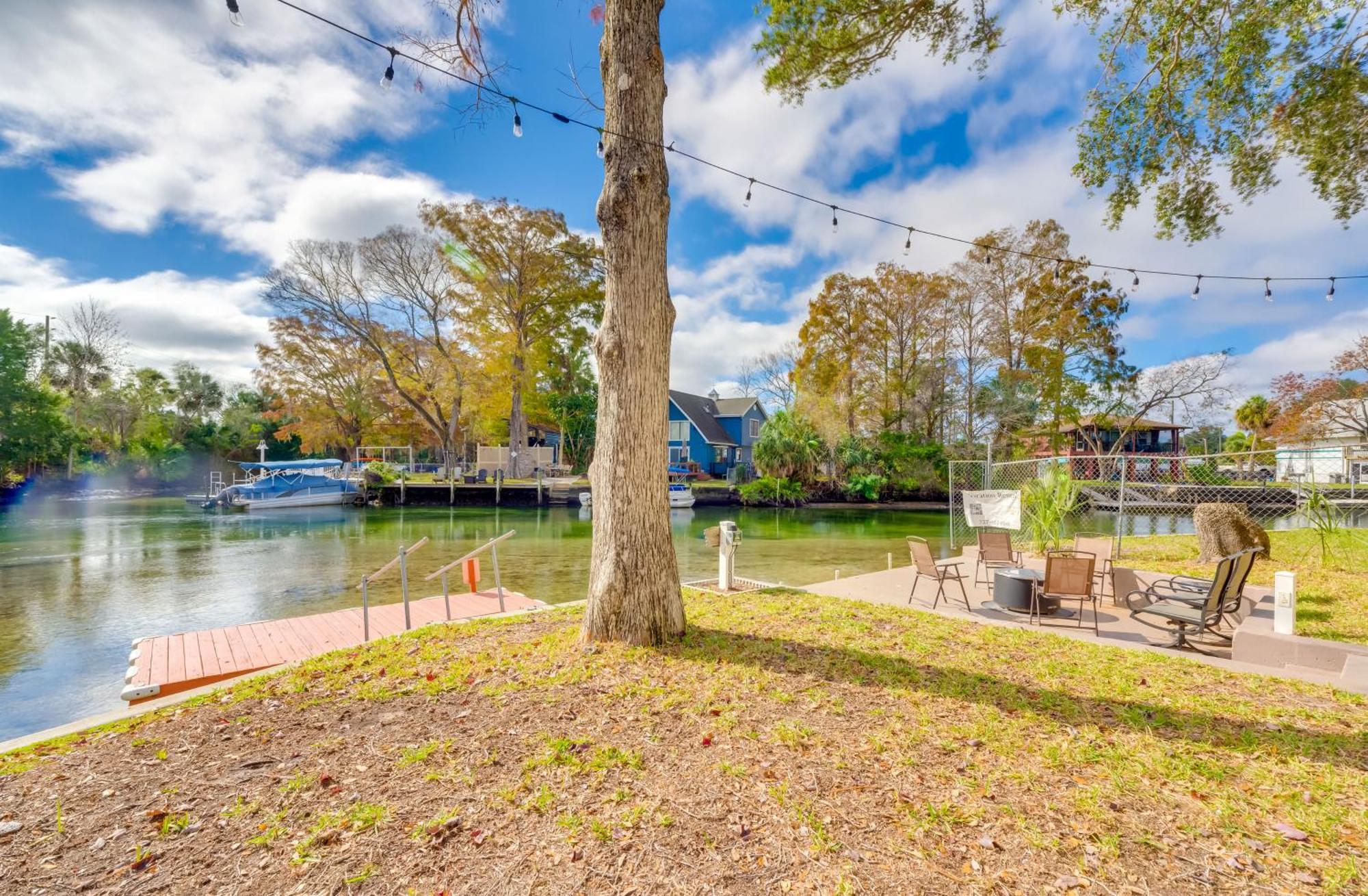 Weeki Wachee River Home On Main River By Park! Spring Hill Exteriör bild