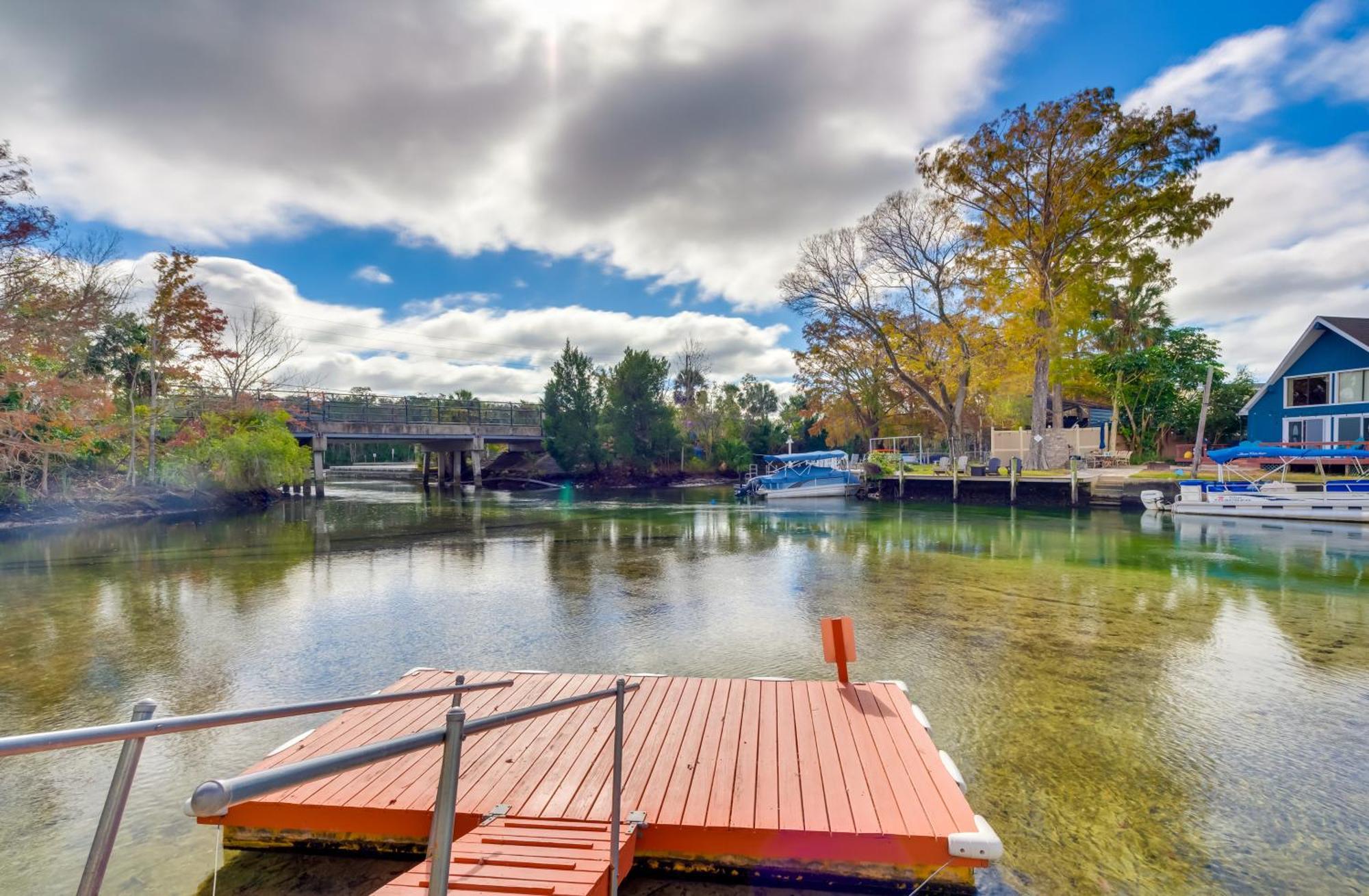 Weeki Wachee River Home On Main River By Park! Spring Hill Exteriör bild